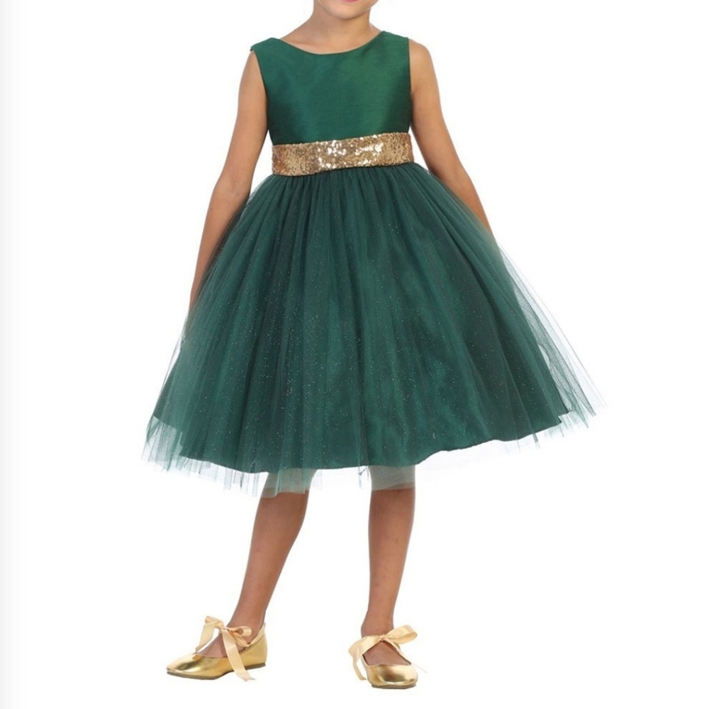 Kid's Dream Green Dupioni Tulle Dress with Gold Sequin Accents